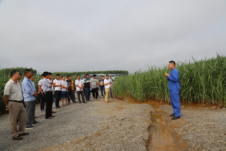 1501063455130235.jpg 中国·88858cc永利(股份)官方网站