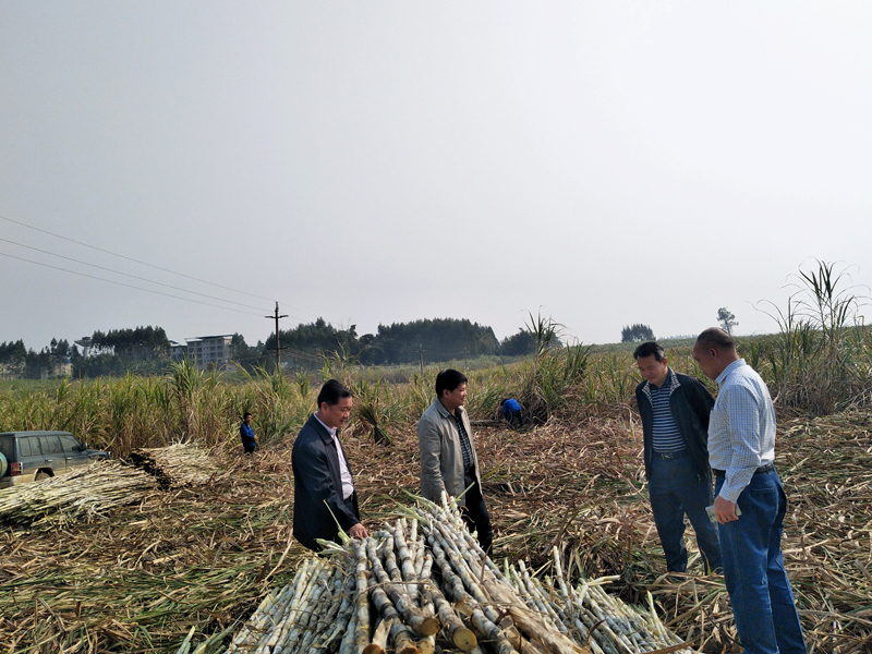 1519960138276952.jpg 中国·88858cc永利(股份)官方网站